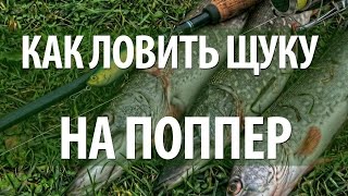 ЛОВЛЯ ЩУКИ НА ПОППЕР - УЛОВИСТАЯ ПРИМАНКА