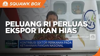 Punya Keunikan Jenis, Jadi Peluang RI Perluas Ekspor Ikan Hias