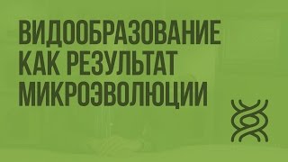 Видообразование как результат микроэволюции. Видеоурок по биологии 11 класс