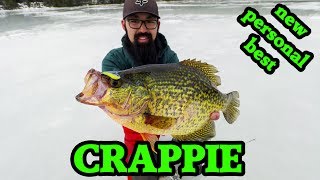 AMAZING crappie ice fishing with NEW TOYS! (z-viber, panoptix, lake x)
