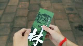 Pen Spinning Freestyles Zhigao V15 By Hak Chan
