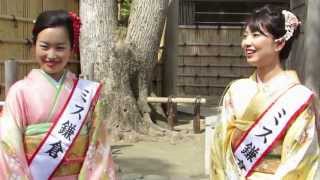 ミス鎌倉2013（小野麻子・山中葉月・江口桃子）撮影会