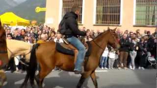 SFILATA DI CAVALLI E MANDRIA DI MUCCHE A DEMONTE (CN). 14 - 10 - 2012.