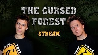 HFM в The Cursed Forest - Ночной стрим