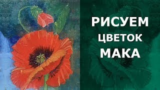 ? Как нарисовать цветок мака маслом. Мак с бутоном