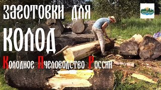 ? Заготовки для новых колод. Колодное пчеловодство России | Стрелёнки