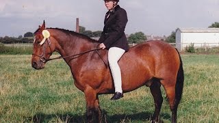Woman too heavy to ride her horse sheds TWO-THIRDS her body weight after tipping the scales at 33st