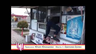 Голодные игры или Кража средь бела дня