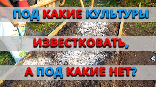 Под какие культуры нужно проводить известкование почвы? А под какие категорически нельзя?