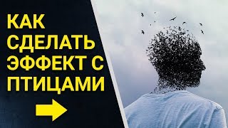 Эффект распада в Фотошопе. Фотоманипуляция Photoshop