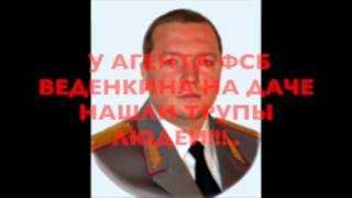ВЕДЕНКИН А.И.УБИЙЦА И КРИМИНАЛЬНЫЙ БОСС.