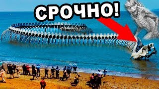 СРОЧНО! Змеи, которые могут ГОВОРИТЬ. ЭТО ПРОСТО НАДО ВИДЕТЬ / ДОКУМЕНТАЛЬНЫЙ СПЕЦПРОЕКТ
