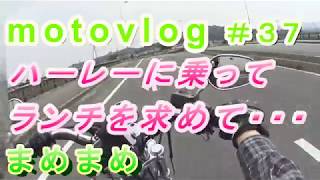 motovlog＃３７ 【ランチを求めて・・・ハーレーで行く】