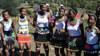 Zulu Traditional Wedding 2