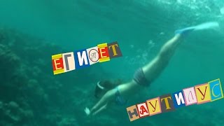 Наутилус Экскурсия Египет **