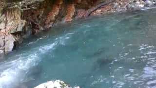 Рыбалка 6. Ловим форель и чернопуза. Fishing. Angling. Отдых. Зимняя рыбалка