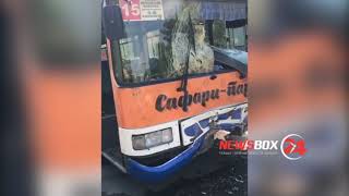 Серьезная авария в Артеме. Водителя грузовика зажало в кабине.