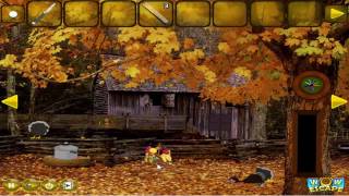 Wow Mysterious Turkey Forest Escape walkthrough wowescape.