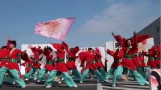 栄華連さん　 YOSAKOIかぬまフェスティバル2013