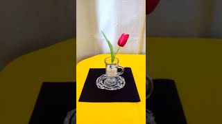 COMO FAZER UM LINDO ENFEITE PARA A MESA COM COLA QUENTE, VÍDEO 1.