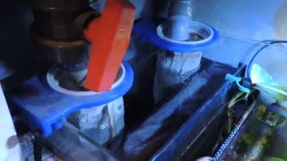 How to keep sump Clean Filter Socks