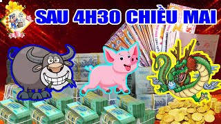 Quá Bất Ngờ, 3 Tuổi Này Đang Khổ Vì Tiền Cũng Trúng Số 3 Lần, Tiền Đè Ngạt Thở Sau 4h30 Chiều Mai