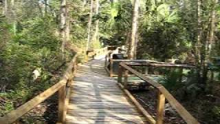 № 24 АМЕРИКА Парк в Джунглях Kelly Park Apopka Fl - Русские в Орландо Флорида 13.02.2009
