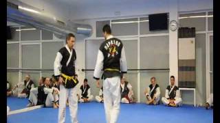 Greek Hapkido Association - July 2011 exams