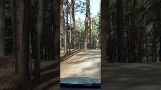 Дорога путь к морю ,пляж утро начала дня YouTube Shorts короткое видео#Shorts