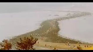 لن تصدق ما تراه انشقاق البحر فى كوريا الجنوبية 1split the sea South Korea
