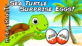 Sea Turtle Beach Surprise! Real Sea Turtles w/ Kinder Eggs by HobbyKidsTV