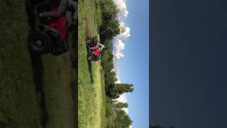 Stels 300