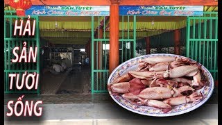 Mực Nhảy Tươi Sống Cảng Vũng Áng Hà Tĩnh - Nhà Hàng Đàn Tuyết