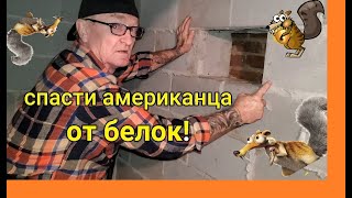 АМЕРИКАНСКИЙ ПОДВАЛ?‍♀️ РУССКИЙ? АМЕРИКАНЦУ ВСЕ ОБЪЯСНИЛ? РОЗЫ ЯНВАРЯ?