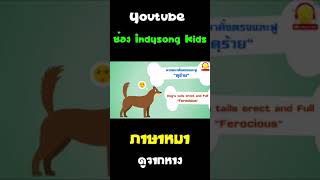 ภาษาหมาดูจากหาง #Shorts