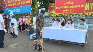 Tăng cường các biện pháp cấp bách phòng chống bệnh dại tại các tỉnh trọng điểm