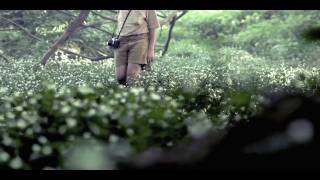 zedx - for all i care (above & beyond cover)