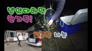 빈 통발만 던져도 도루묵?이 한가득 잡혀요(a lot of fish are caught in the empty fish trap for only 30 minutes)