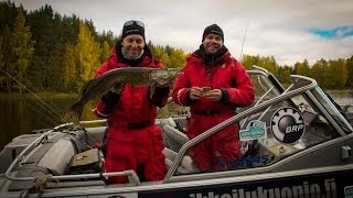 Ловля щуки на спиннинг / Spinning for pike in Finland