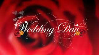 Video Background HD   Wedding HD   Style Proshow   styleproshow org   YouTube 720p