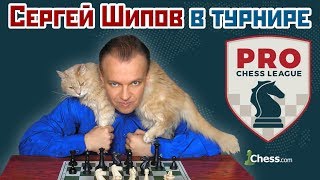 Сергей Шипов ? в блиц турнире ⚡️ Pro Chess League ♕ Шахматы