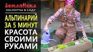 Альпинарий за 5 минут. Ландшафтный дизайн. Альпийская горка.