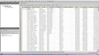 L9 Generating Summary Statistics in SAS EG
