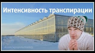 Транспирация и микроклимат