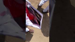 ਝੋਨੇ ਦੀਆ ਕਿਸਮਾ ਲੁਧਿਆਣਾ ਯੂਨੀਵਰਸਿਟੀ ਚ ।। paddy new varities in pau ludhina 2018
