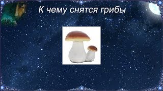 К чему снятся Грибы (Сонник)