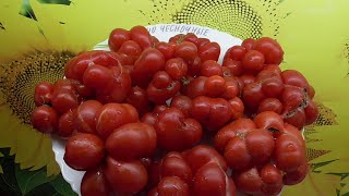 ТОМАТЫ "ЧЕСНОЧНЫЕ" Рейсетомейт (Reisetomato). №540. ДЕГУСТАЦИЯ. 
