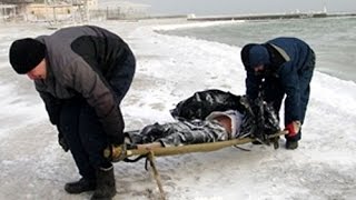 Копатели Отморозились ради 100,000