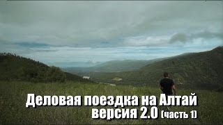 Деловая поездка на Алтай - версия 2.0. Часть I - Горный Алтай. Кедр которому 1000 лет!