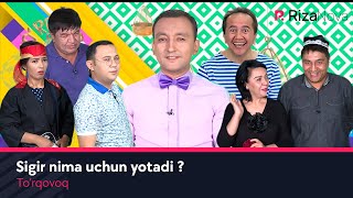 To'rqovoq - Sigir nima uchun yotadi ? (hajviy ko'rsatuv)